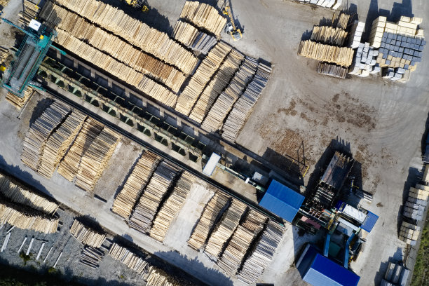 锯木厂鸟瞰砍倒的树木，用机械将原木堆放成一排图片下载