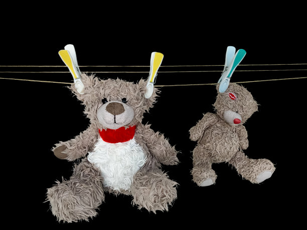 熊玩具烘干后清洗图片下载