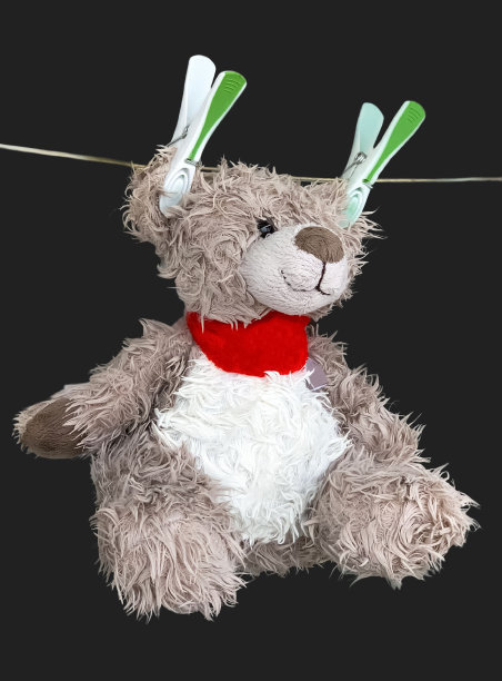 熊玩具烘干后清洗图片下载