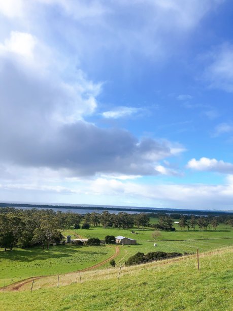 澳大利亚塔斯马尼亚的群山图片下载