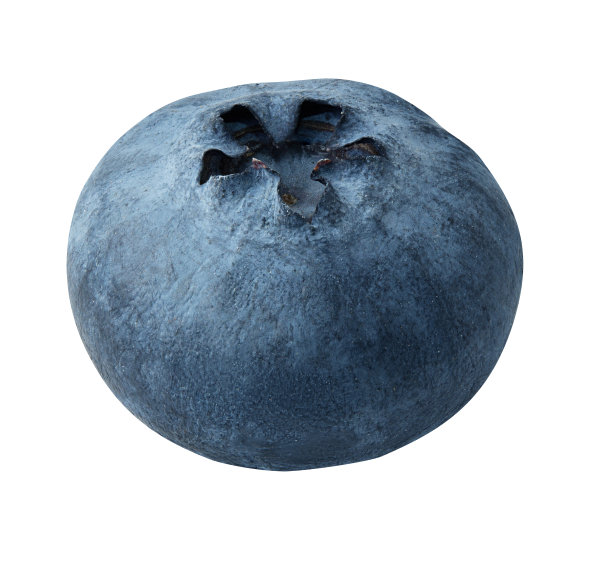 蓝莓孤立在白色背景图片下载