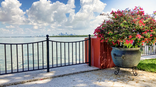 遥远的迈阿密市中心图片下载