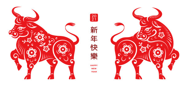 春节快乐文字翻译。2021年金属牛农历节日设计。矢量牛兽用花卉装饰，fortune用中文书写。CNY符号，金牛座星座图片下载