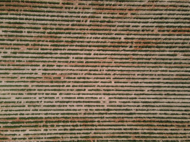 农作物种植面积图片下载