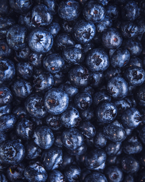 蓝莓图片下载