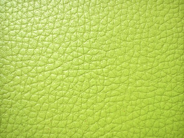 猪皮的特写被涂成绿色。模仿的皮肤图片下载
