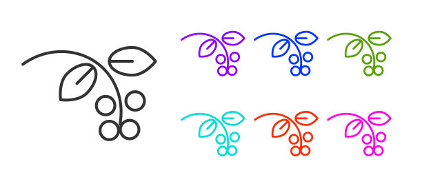 黑色线条的咖啡豆枝叶和浆果图片下载