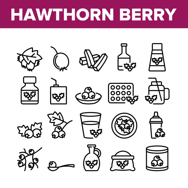 山楂浆果食物收集图标集图片下载