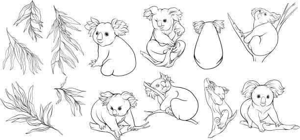 考拉和桉树剪辑艺术设置元素图片下载