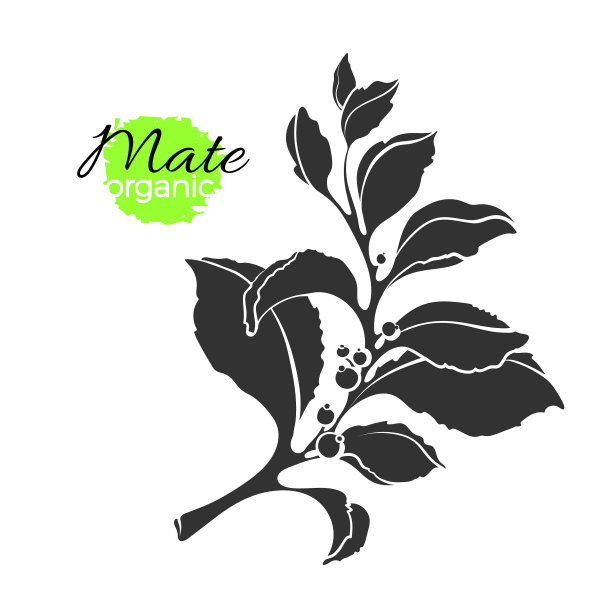 配对分支形状2图片下载