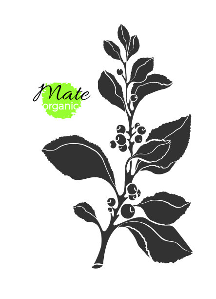 Mate 1分支形状图片下载