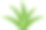芦荟设计图片下载