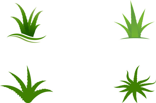 芦荟设计图片下载