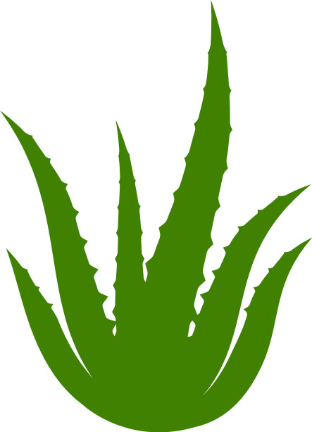 芦荟设计图片下载