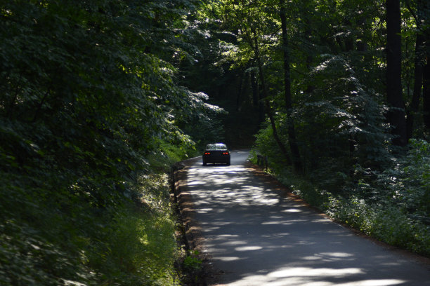 一辆黑色的汽车穿过一片漆黑的森林图片下载