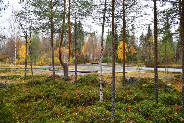 Zalavruga, Belomorsk，卡累利阿。白海岩画考古遗址图片下载