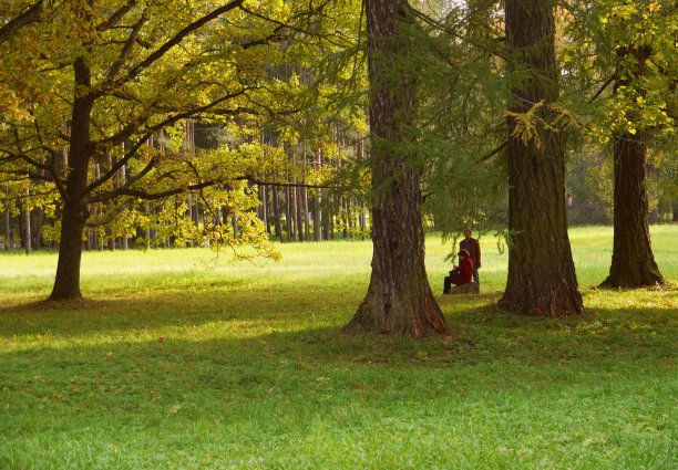 在秋天的公园图片下载