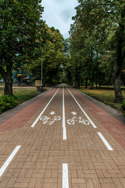 有一条自行车道和一个风景如画的秋天公园的小巷图片下载