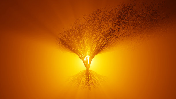 长着根的树的剪影。阳光透过树照进来。环保的概念。图片下载