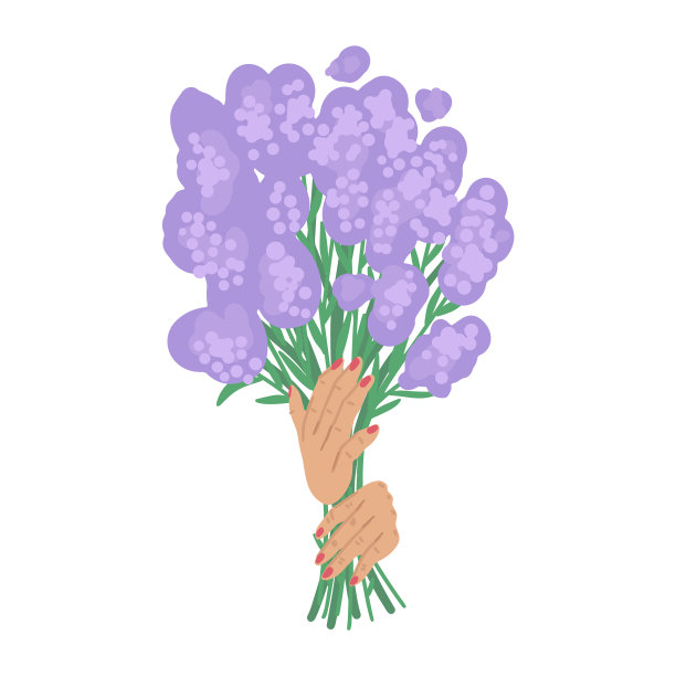 捧花用手隔离薰衣草图片下载
