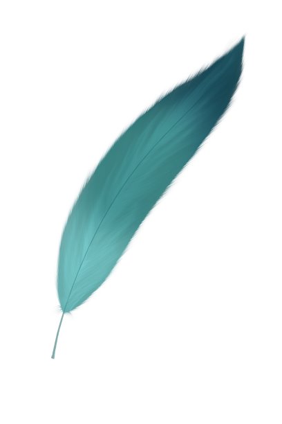 手绘羽毛插图。蓬松的羽毛。婚礼请柬。质朴的羽毛鲜艳的颜色。图片下载