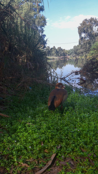 亚孔湖图片下载