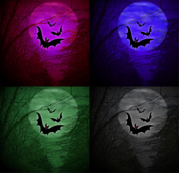 4插图背景庆祝万圣节的问候图片下载