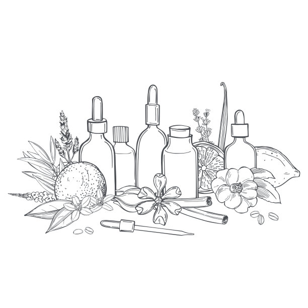 精油。向量速写插图。图片下载