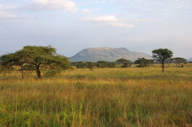 坦桑尼亚塞伦盖蒂公园的景观图片下载