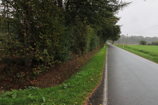 雨中的路图片下载