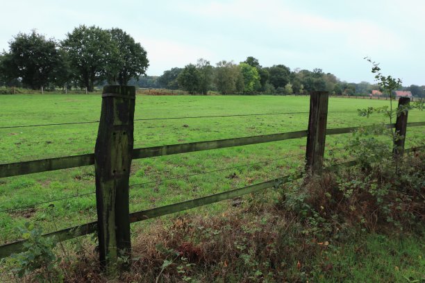 马围场图片下载