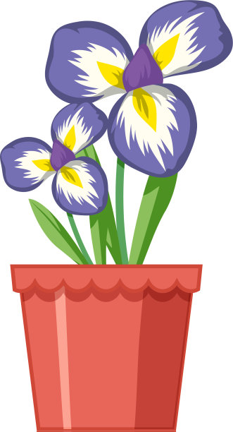 美丽的花在花园里的白色图片下载