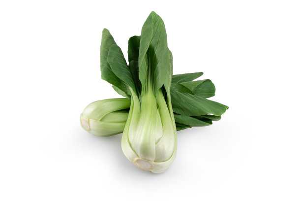 绿色的莴苣粤菜烹饪在白色的背景图片下载