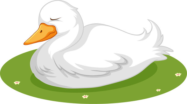 可爱的鸭子睡在草地上图片下载