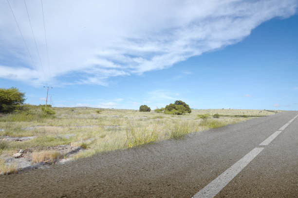 铺着绿草的柏油路图片下载