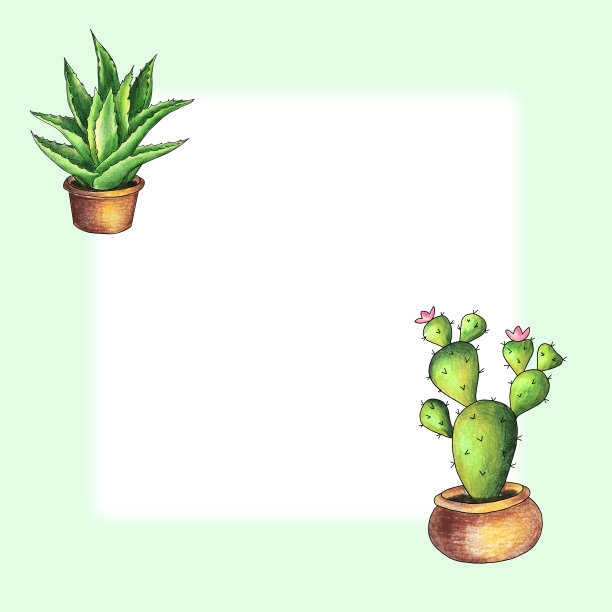 绿色框架芦荟和仙人掌。手绘。本空间图片下载
