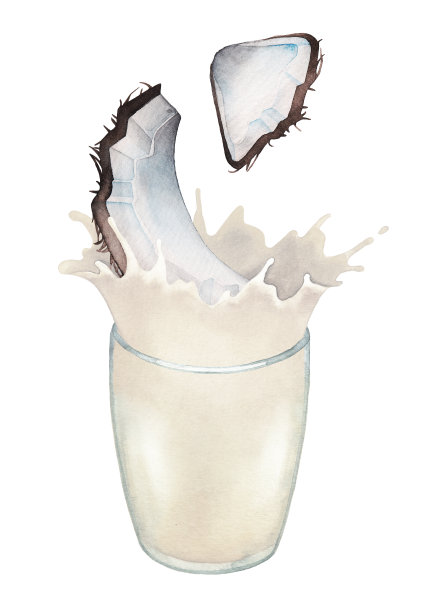 水彩切成薄片的椰子掉进玻璃，溅起牛奶。图片下载