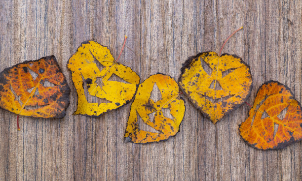 木制背景上的枯叶。在树叶上做了一个可怕的面具。万圣节的节日图片下载