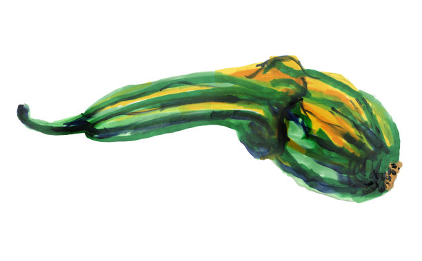 装饰西葫芦孤立在白色背景。罕见的南瓜秋收。水彩插图。手绘图片下载