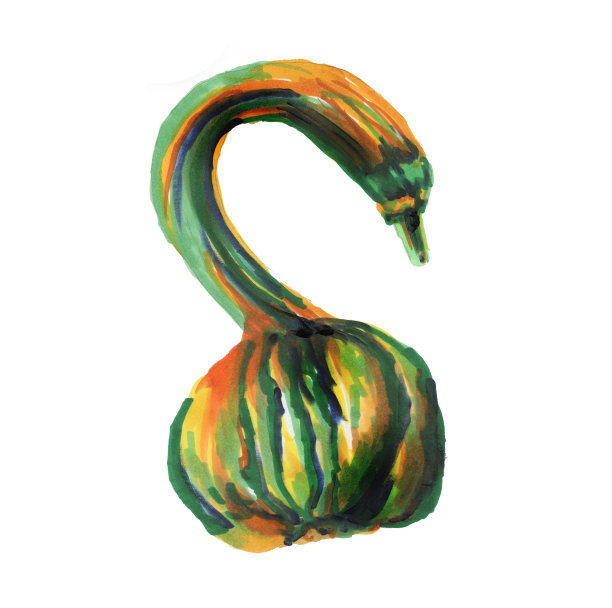 秋天装饰南瓜天鹅的形状，孤立在白色的背景。罕见的南瓜秋收。水彩插图。手绘图片下载