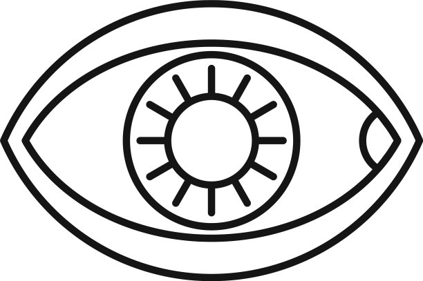 健康的人眼图标轮廓风格图片下载