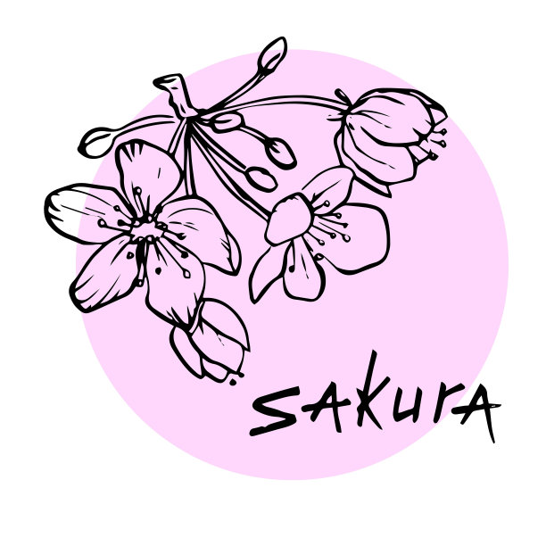 樱花的花和枝素材图片