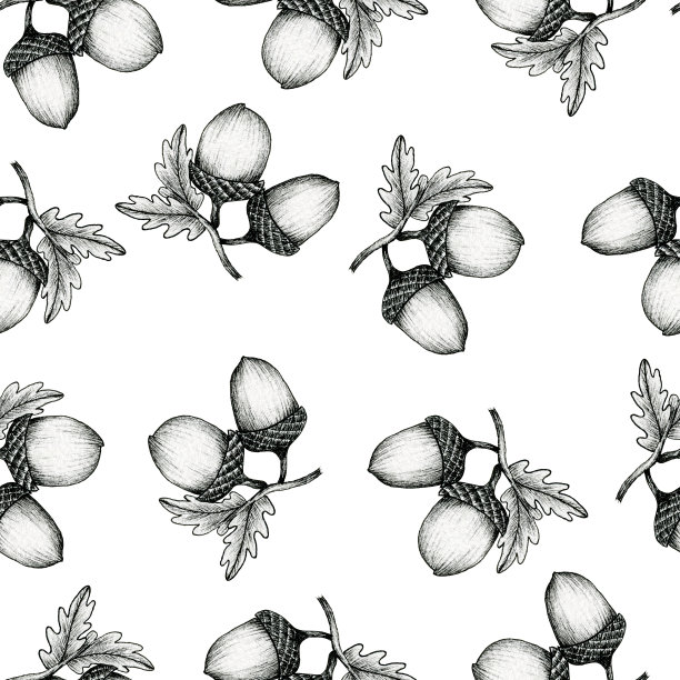 树枝上的橡子无缝图案，vintage autumn background with ink橡子drawing, line art fall decoration, autumn black sketch design图片下载