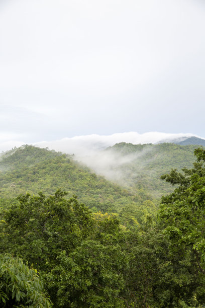 泰国曼谷曼谷的山。图片下载