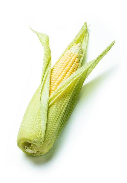 成熟甜玉米孤立白色背景图片下载
