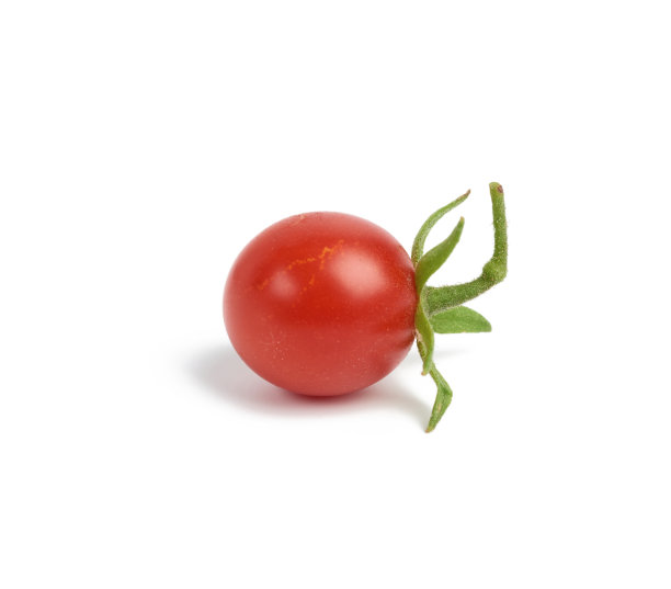 成熟的红樱桃番茄，白色背景上的果实图片下载