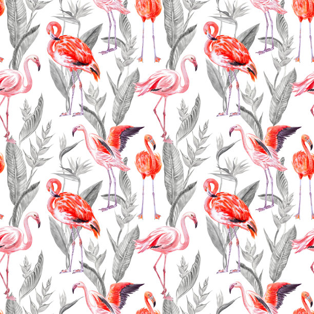 火烈鸟无缝图案以烈烈鸟属热带植物为背景图片下载