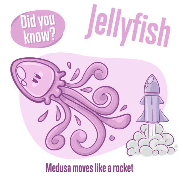 美杜莎，关于水母的有趣事实图片下载