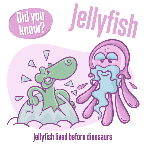 美杜莎，关于水母的有趣事实图片下载
