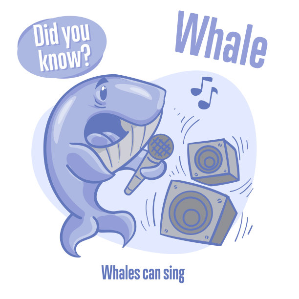 关于鲸鱼的一些关于海洋动物的有趣的事实告诉了你图片下载